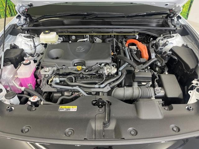 25035877_carP_l_16.jpg