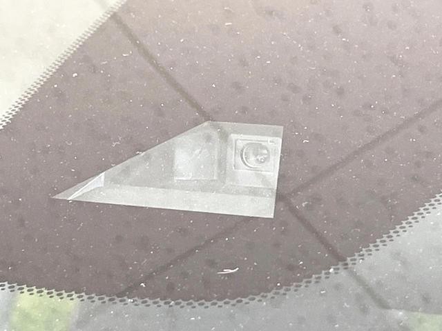 25324273_carP_l_15.jpg