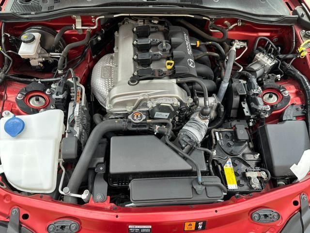 25199211_carP_l_18.jpg