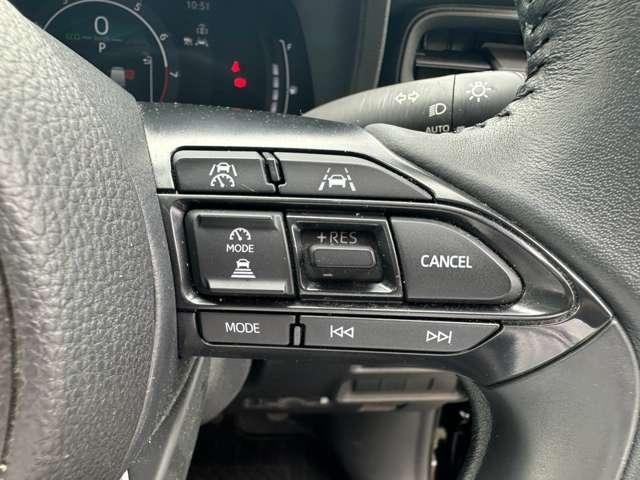 26553474_carP_l_5.jpg