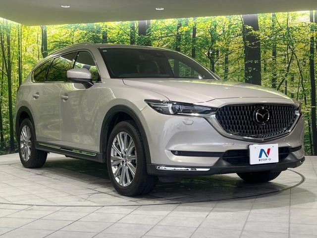 25549719_carP_l_12.jpg