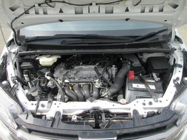 25158556_carP_l_16.jpg