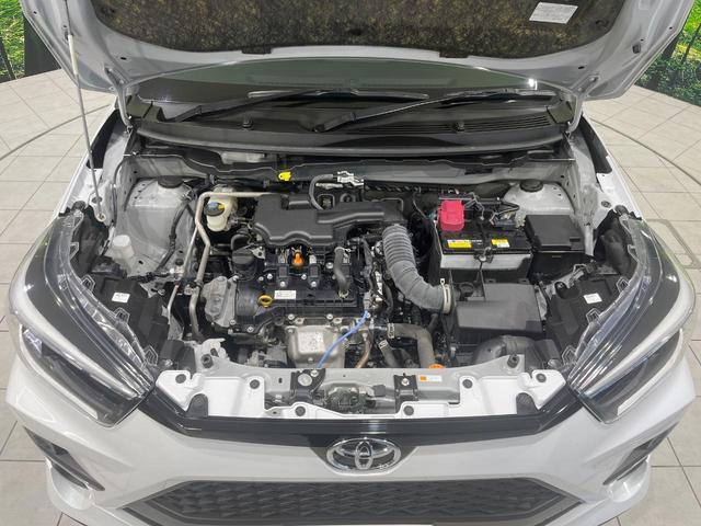 24441139_carP_l_16.jpg