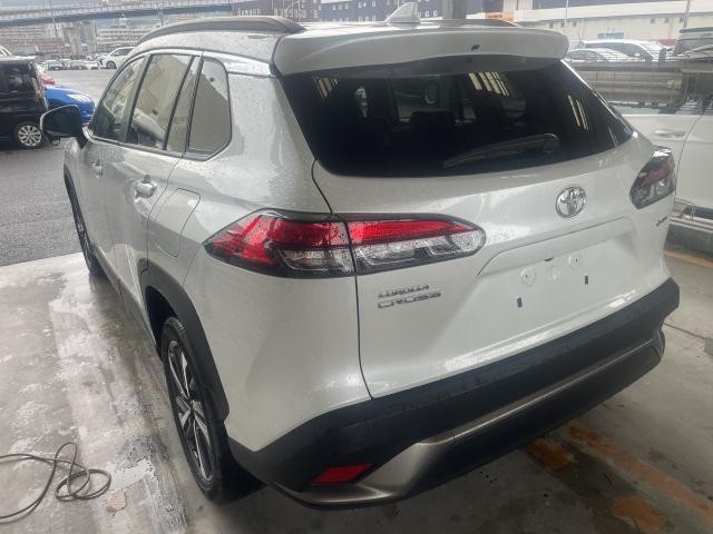 26882689_carP_l_3.jpg