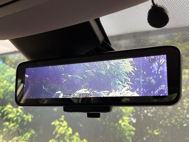 25199501_carP_l_10.jpg
