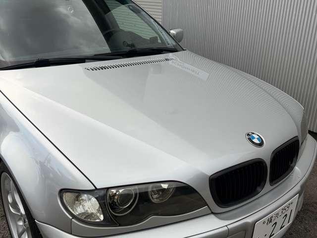 26489068_carP_l_19.jpg