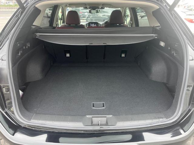 24239389_carP_l_8.jpg
