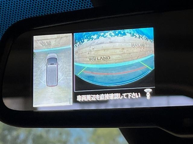 25425513_carP_l_10.jpg