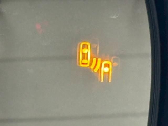 24988645_carP_l_17.jpg
