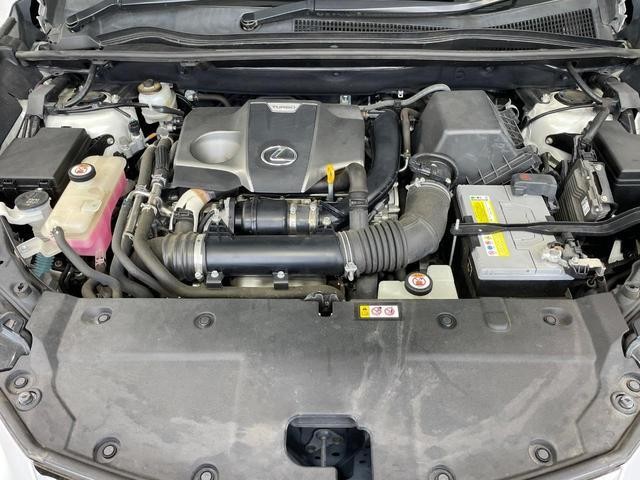 26002852_carP_l_12.jpg