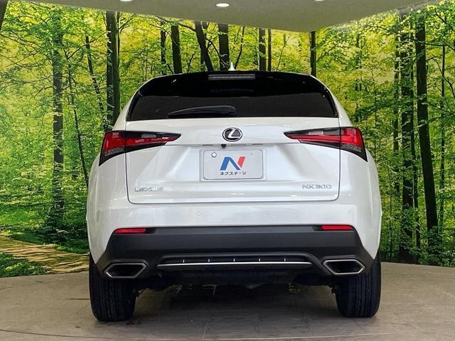 26002852_carP_l_8.jpg