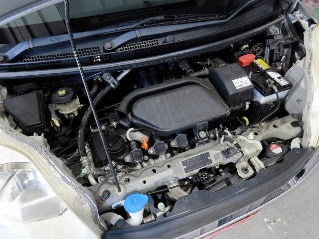 25749092_carP_l_17.jpg