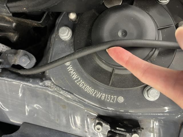 25607266_carP_l_19.jpg