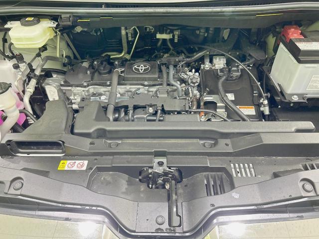 24239640_carP_l_16.jpg