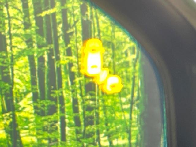25284108_carP_l_14.jpg
