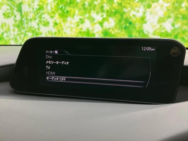 24056209_carP_l_5.jpg