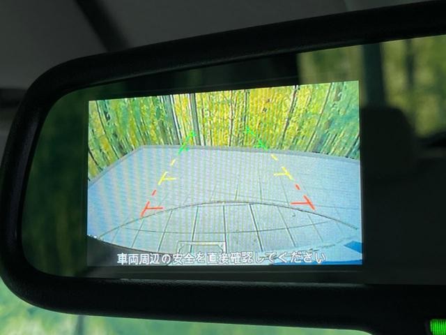 24994744_carP_l_15.jpg