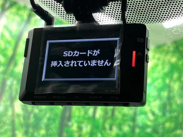 24219207_carP_l_13.jpg