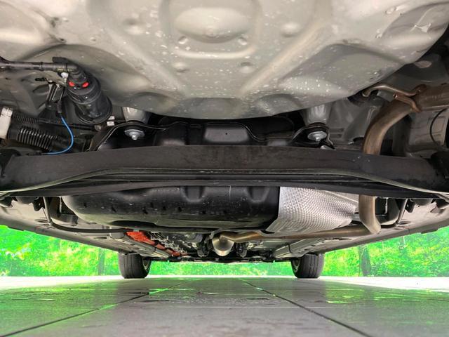 24219207_carP_l_18.jpg