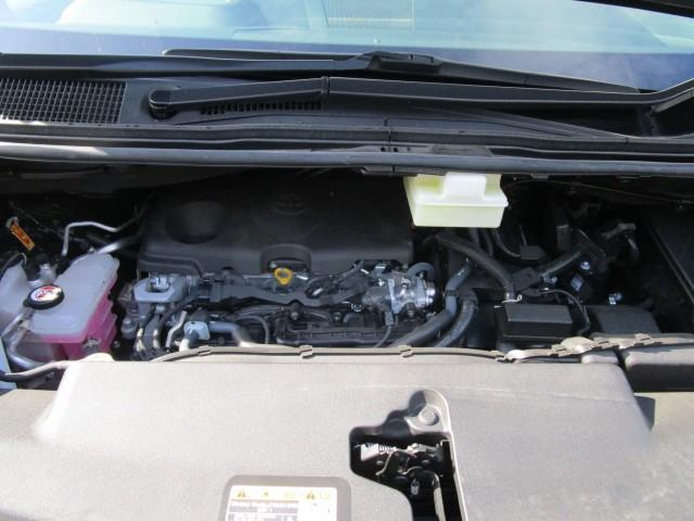 20388476_carP_l_17.jpg
