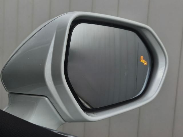 21242249_carP_l_6.jpg