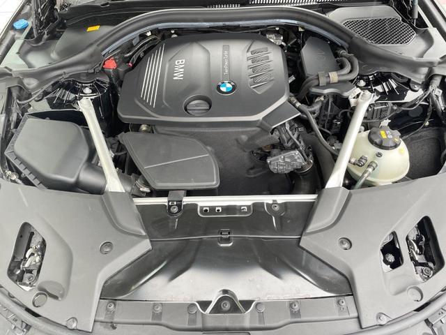 24849324_carP_l_18.jpg