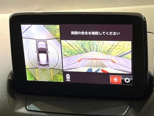 25220601_carP_l_10.jpg