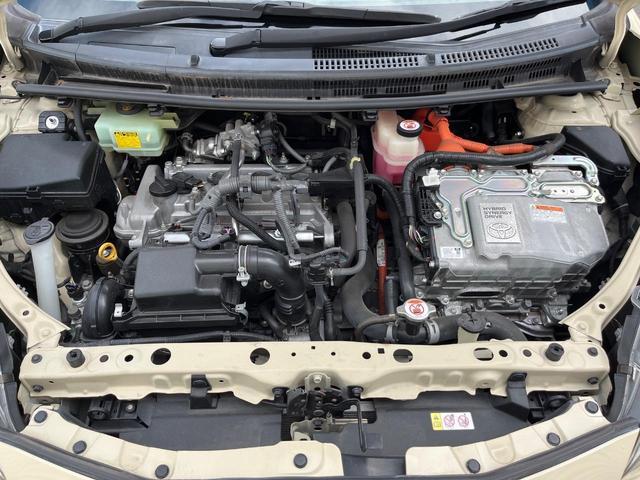 24300165_carP_l_18.jpg
