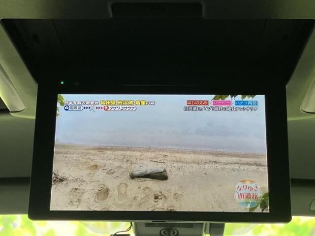 25000258_carP_l_6.jpg