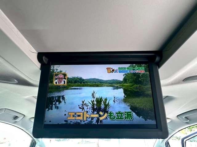 25163015_carP_l_4.jpg