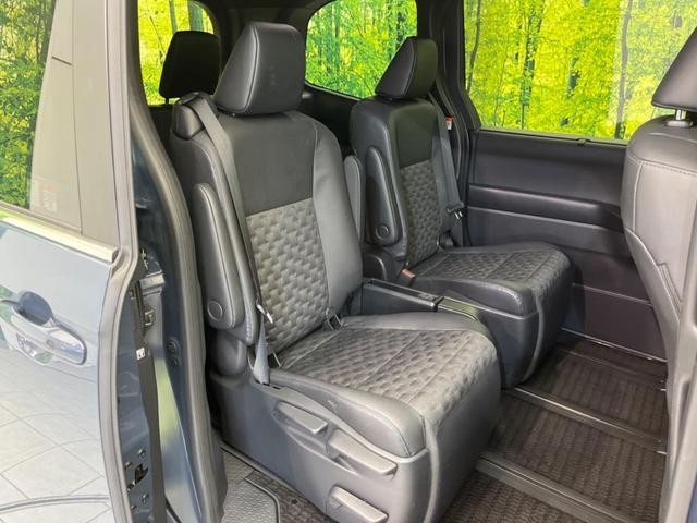 25865971_carP_l_19.jpg