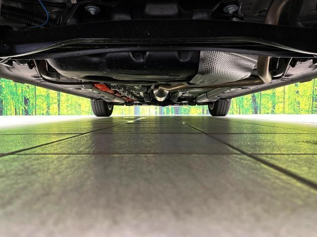 25425556_carP_l_18.jpg