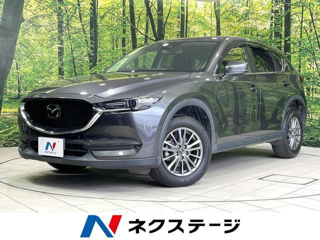 24160595_carP_l_1.jpg