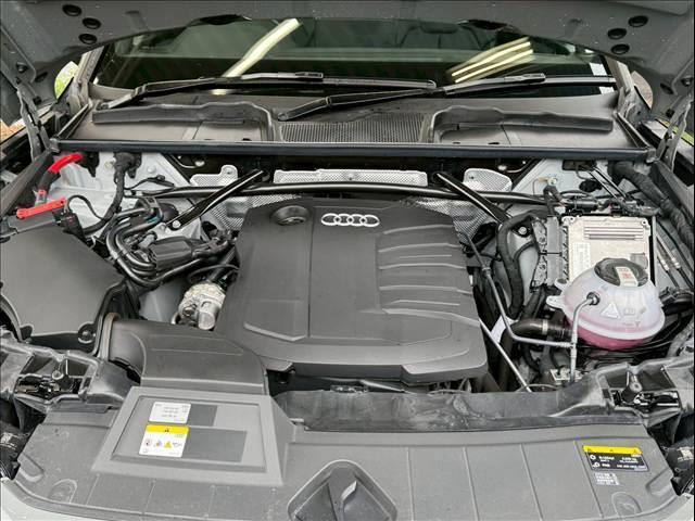 23295010_carP_l_6.jpg
