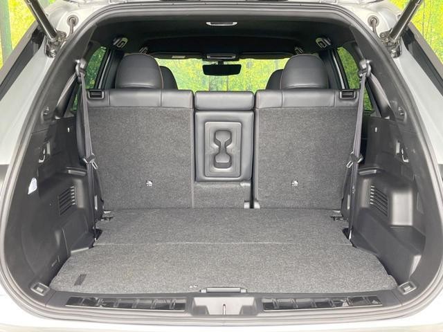 26491231_carP_l_5.jpg