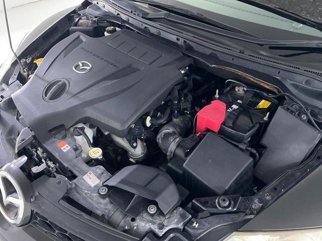 26246867_carP_l_8.jpg