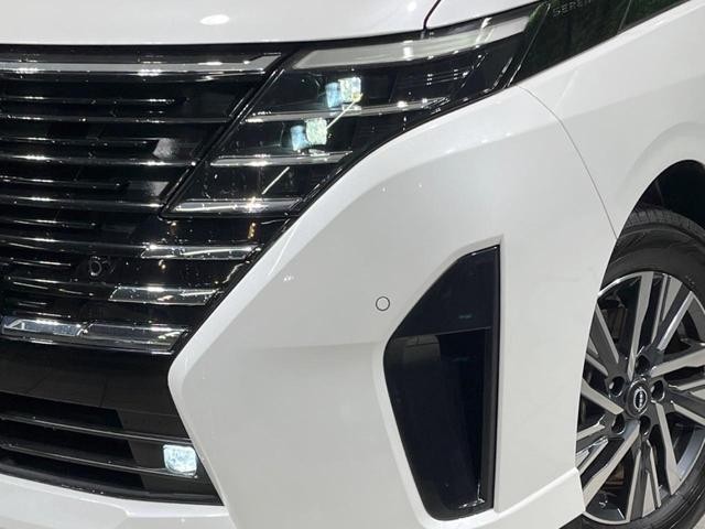 24995005_carP_l_7.jpg
