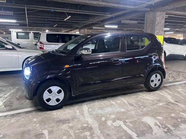 26862289_carP_l_19.jpg