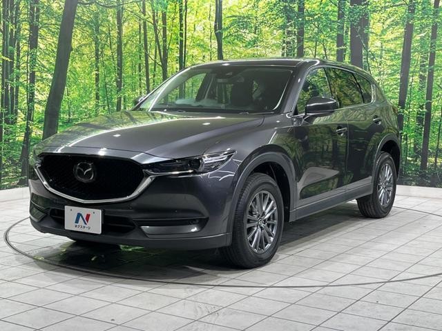 25220698_carP_l_11.jpg