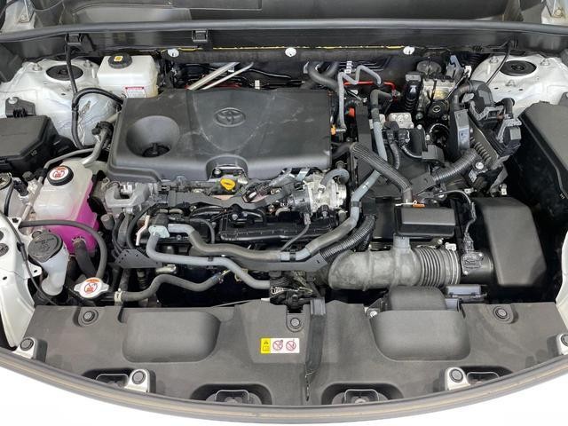 26002854_carP_l_16.jpg