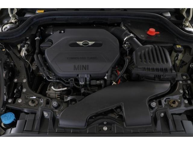 24794103_carP_l_17.jpg