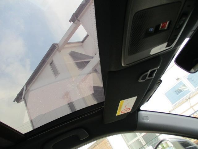 25242505_carP_l_17.jpg