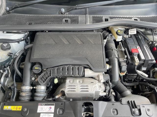 26251389_carP_l_20.jpg