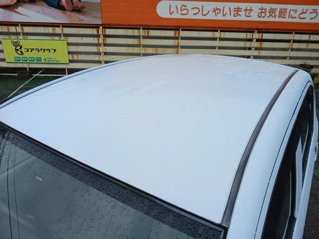 24844668_carP_l_13.jpg