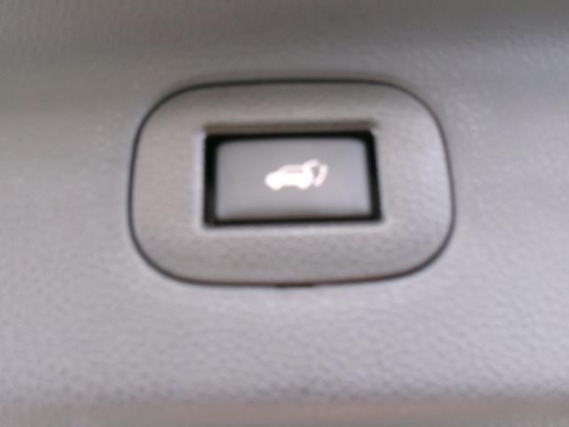 23560918_carP_l_5.jpg
