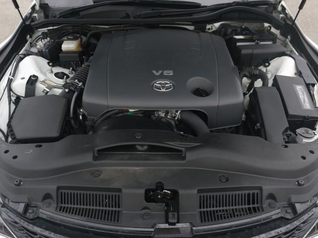 26362814_carP_l_17.jpg