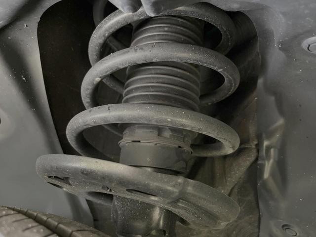 26084197_carP_l_20.jpg