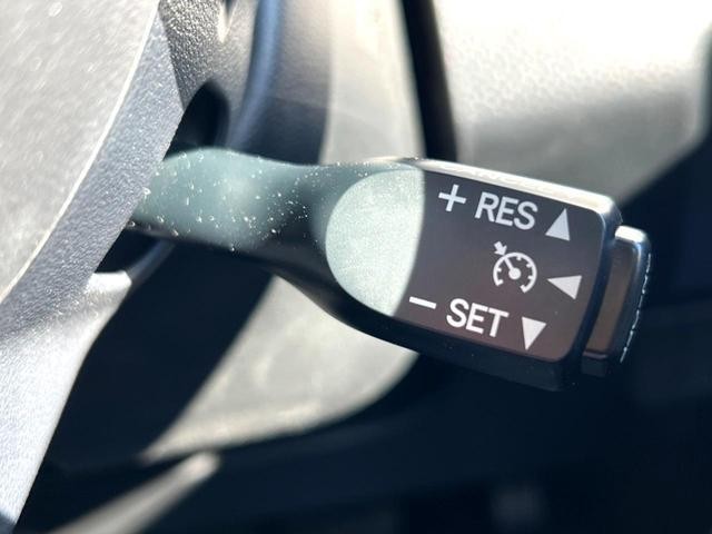 25848031_carP_l_14.jpg
