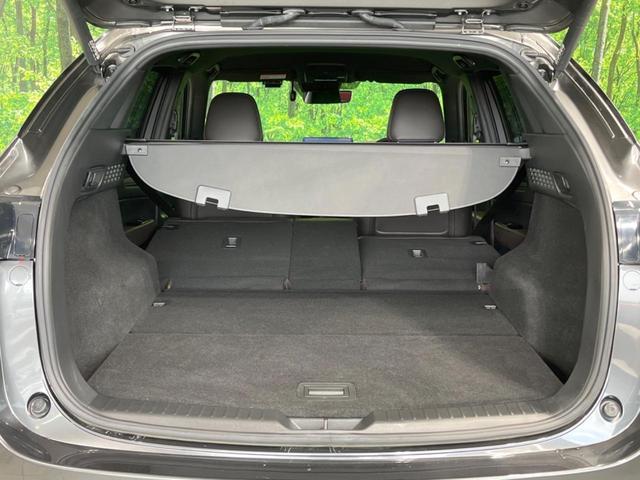 24219285_carP_l_2.jpg