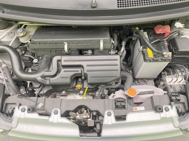 25549491_carP_l_16.jpg